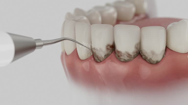 Reliable Dental contractor in Wildewood, MD by Dentist Open Now